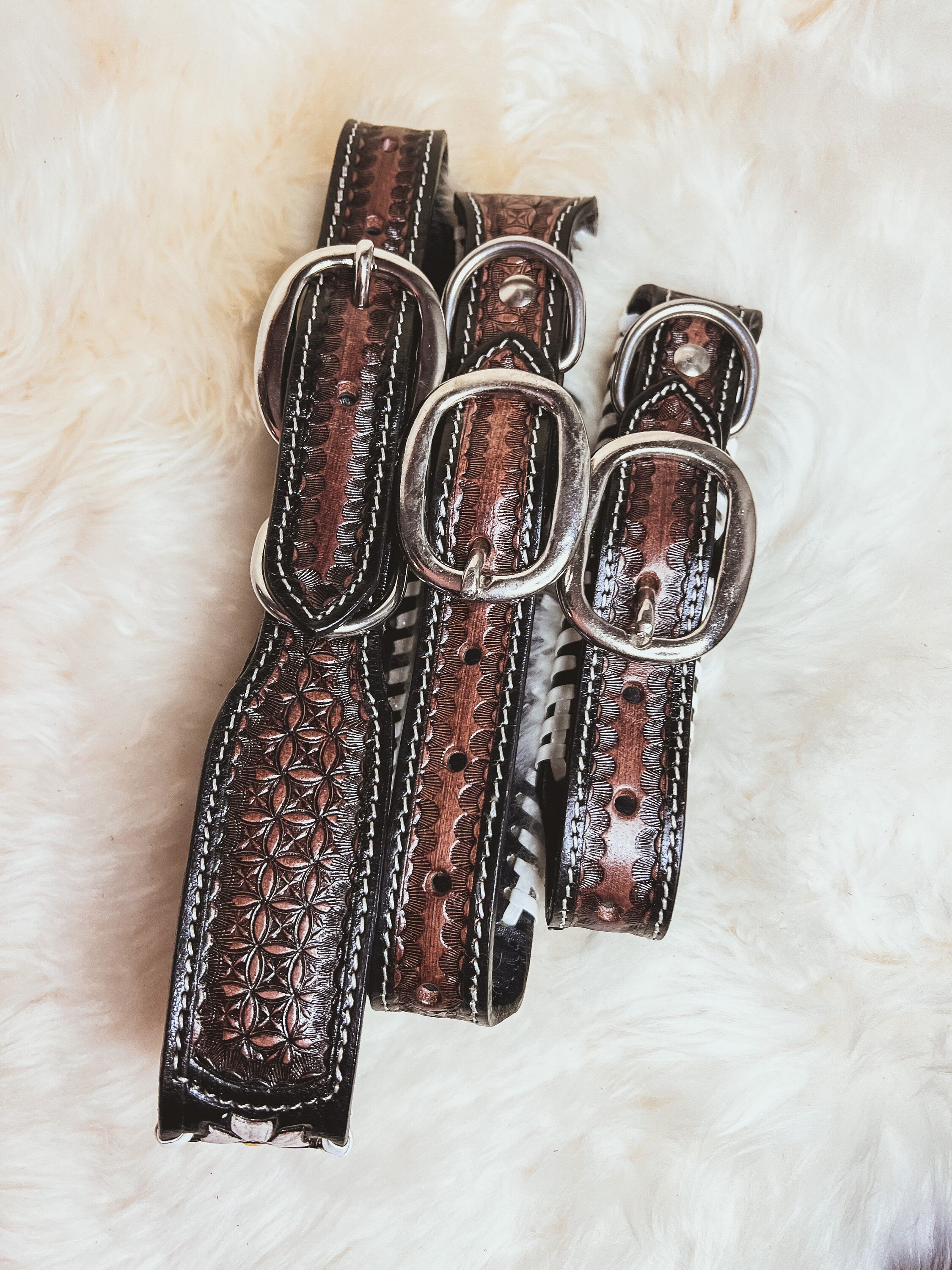 Hand Tooled White whipstitched Daisy Leather Western style Dog Collar