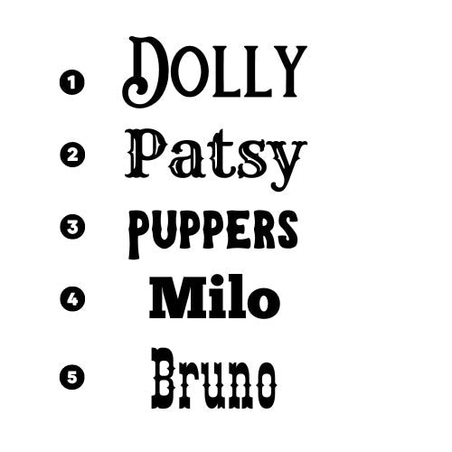 Custom Stainless Steel Nameplate for Dog Collar