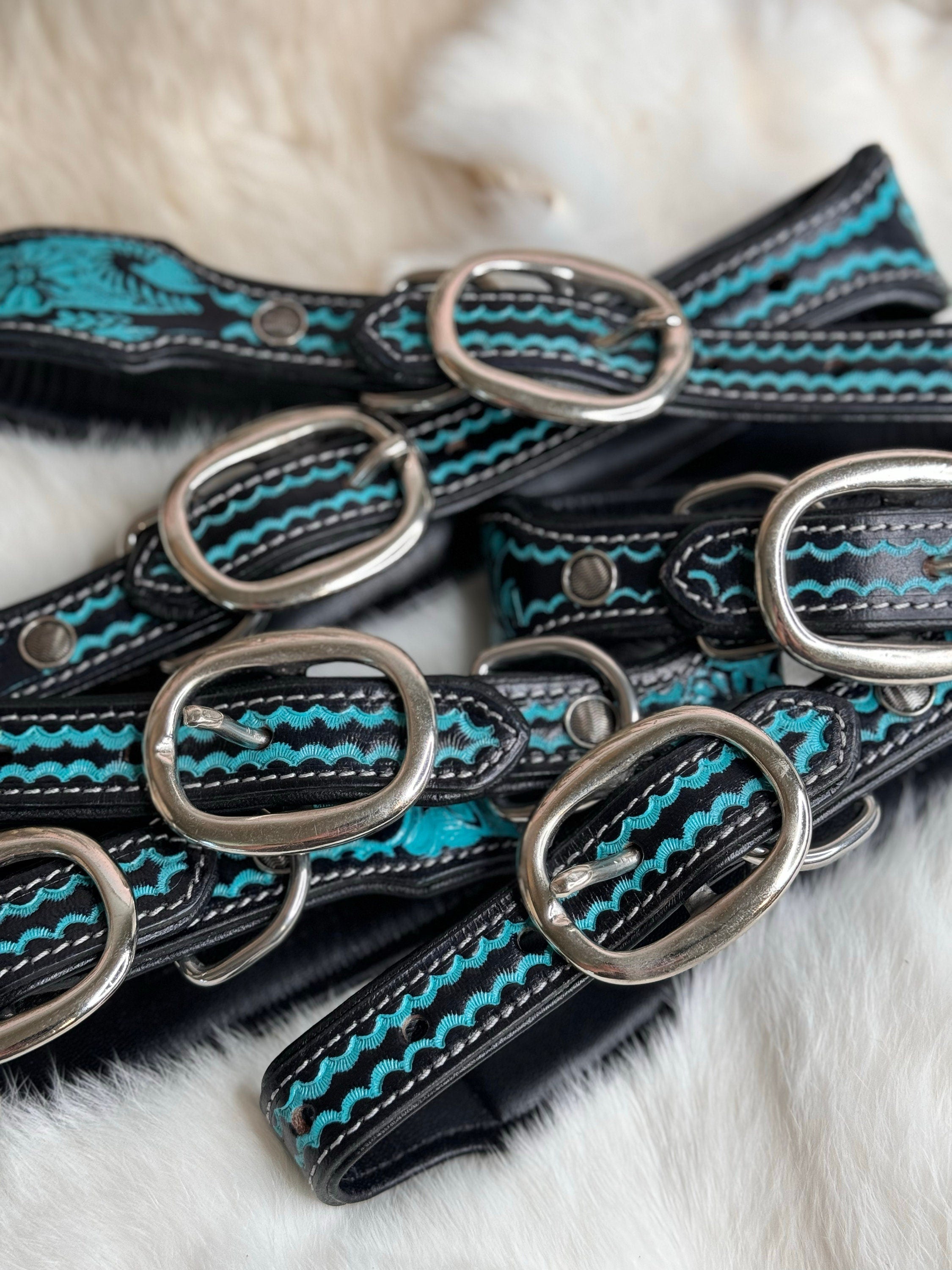 Turquoise Tooled Leather Western style Dog Collar, Show Dog, Farm Dog, Cow Dog, Cattle Dog