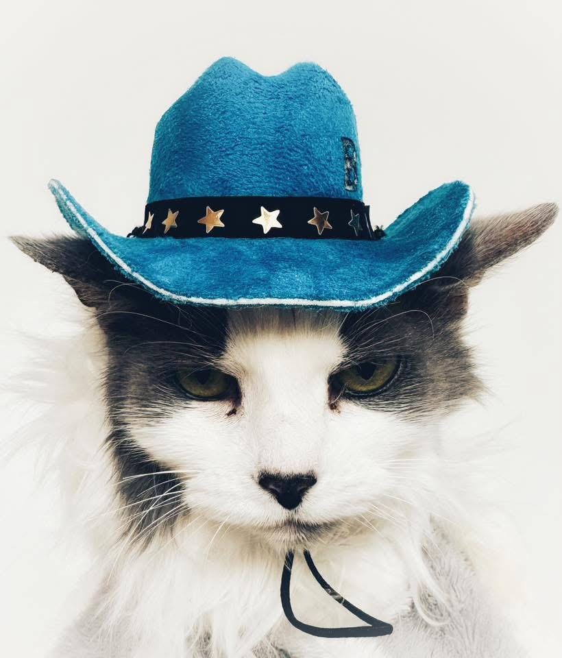 Little Wrangler Custom Pet Cowboy Hat
