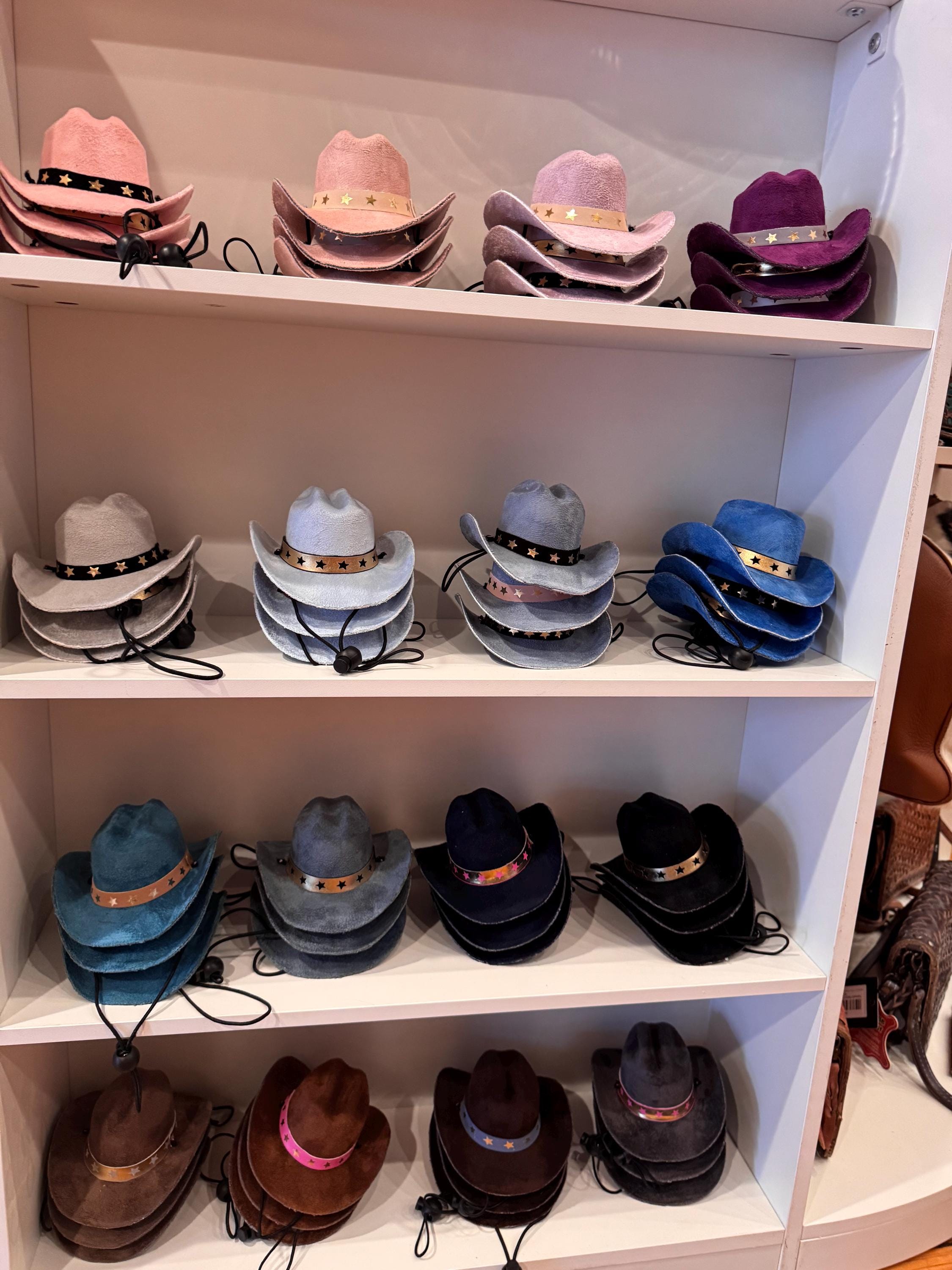 Little Wrangler Custom Pet Cowboy Hat