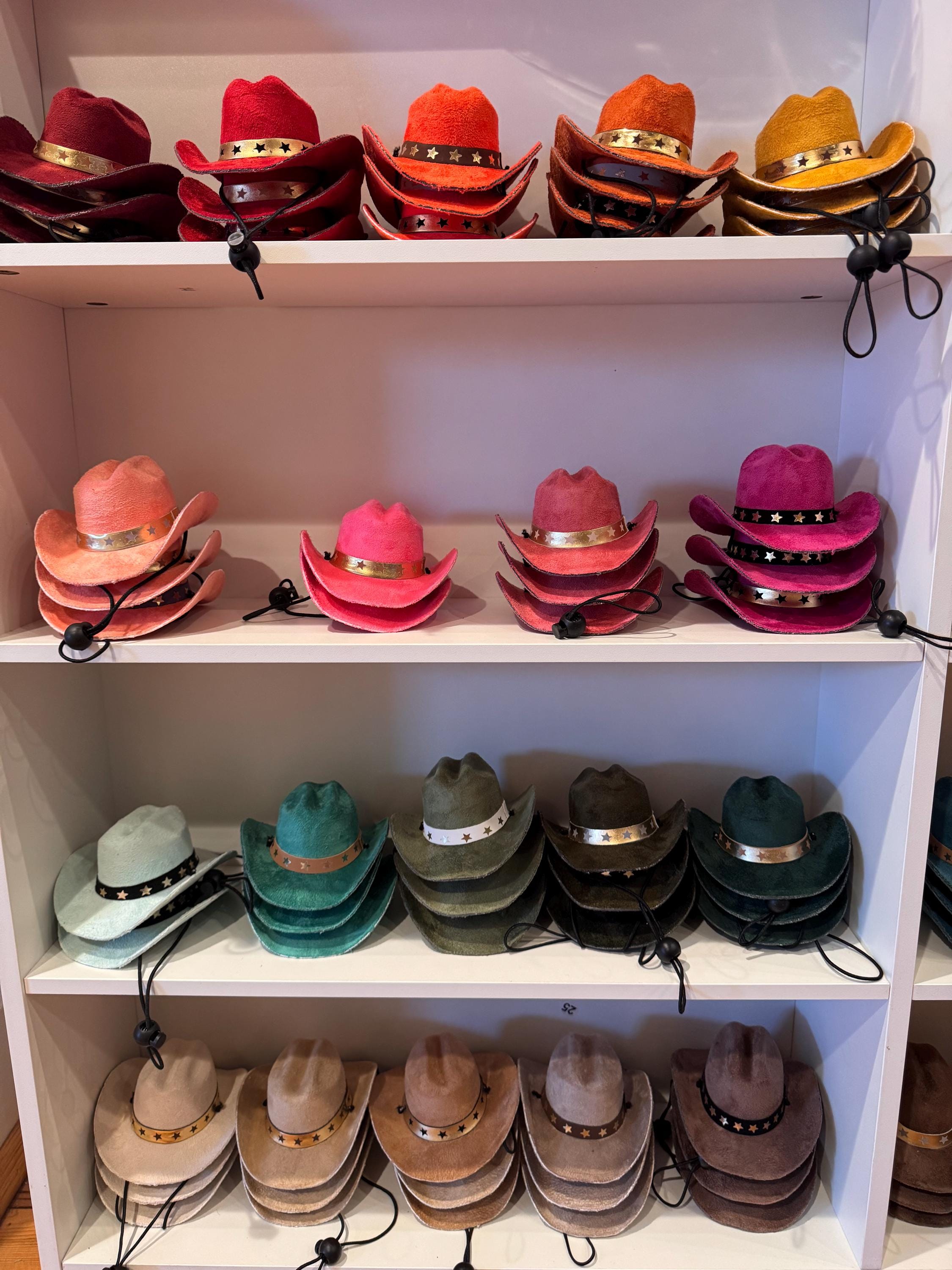 Little Wrangler Custom Pet Cowboy Hat