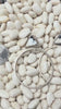 Hada White Buffalo Turquoise & Sterling Silver Hoop Earrings